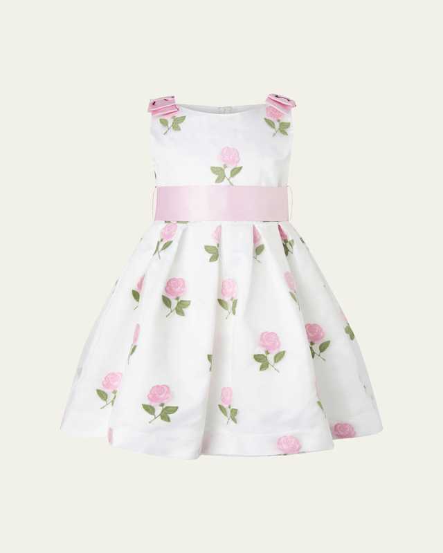 Girl's Rose Embroidered Organza Dress, Size 2-